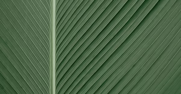 green artistic background